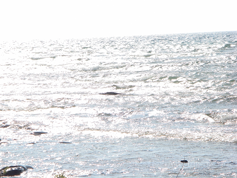 Western Michigan [2010] 890.JPG - Scenes from our trip to Western Michigan. Some places along the way were Ludington, Sleep Bear Dunes, and Traverse City.